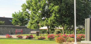 Vœux du Maire Place-des-commémrations